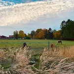 Blick Ins Gruene- Premium-fewo *