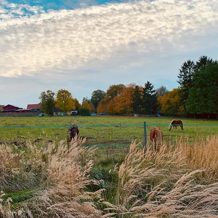 Blick Ins Gruene- Premium-fewo *